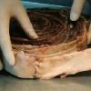 Pictures - last post by Lomo Saltado